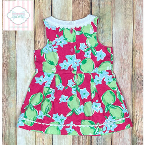 janie and jack dress Janie and Jack dress 3-6m – Petite Encore