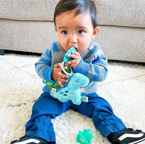 Itzy Pal™️ Plush and Teether- Dino
