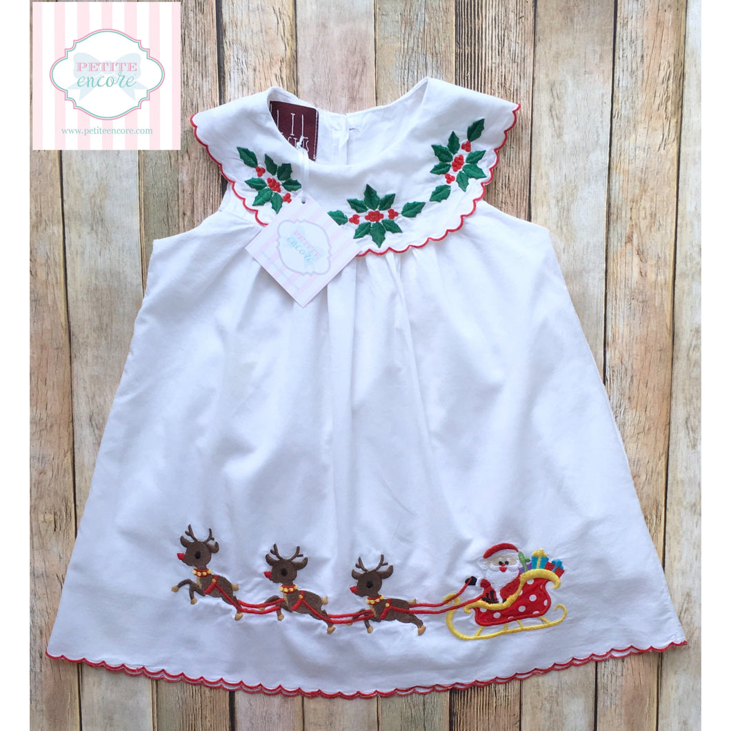 Lil Cactus holiday dress 2T